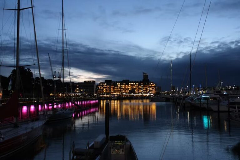 Top Activities to Experience New Zealand Nightlife